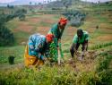 In Rwanda, women’s cooperatives organize farmers to both improve agriculture and the environment. 