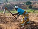 Malawi farmer tends her field, with solar water pumps in the background