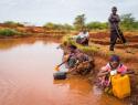 People collect water in buckets.