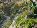 African Cities Use Nature to Fight Floods