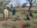 Planting seedlings in Ethiopia
