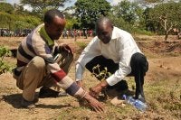 Two people planting a tree seedling in the Lake Abaya watershed in Southern Ethiopia's Great Rift Valley.