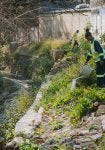 African Cities Use Nature to Fight Floods