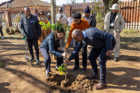 A group people plant a tree during a restoration project in Johannesburg, South Africa