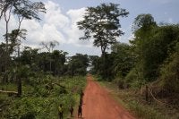 Road near the village of Ilanga in the DRC. Photo by Molly Bergen