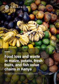 Cover image.