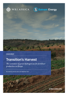 Cover image.