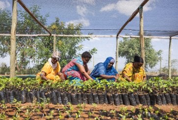 Partner farmers from Marsabit, working with the International Tree Foundation