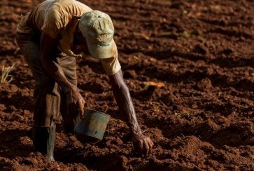 Farmer holding bucket and tending to soil.