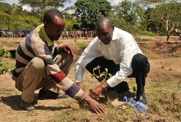 Two people planting a tree seedling in the Lake Abaya watershed in Southern Ethiopia's Great Rift Valley.