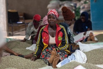 Women sorting coffee, Rwanda
