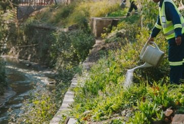 African Cities Use Nature to Fight Floods