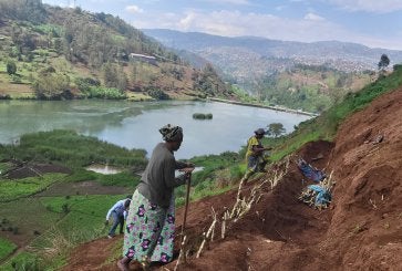 The bare hillsides of Bukavu being restored and stabilized