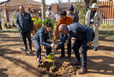 A group people plant a tree during a restoration project in Johannesburg, South Africa
