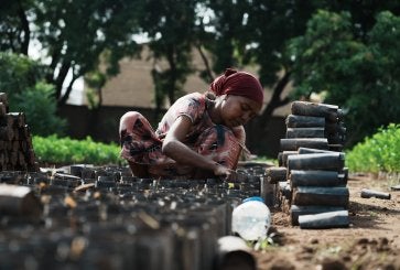 A girl crouches on the ground, focusing on arranging wooden logs amidst a green setting.