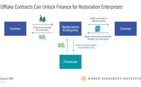 Offtake Contracts Can Unlock Finance for Restoration Enterprises.