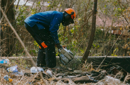 A worker removes invasive plants from the Juksekei's riverbanks in Johannesburg. 