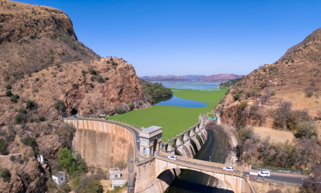 A dam near Johannesburg covered in invasive water hyacinths.