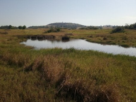 A pond in a grassland.