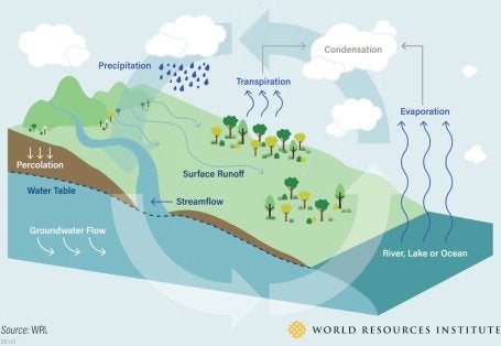 Water Cycle Graphic