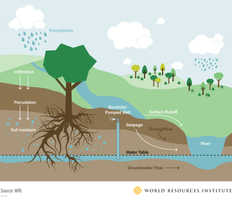 Graphic showing how landscapes affect natural water cycles.