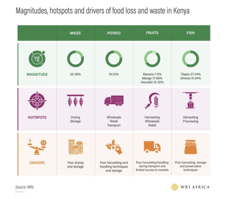 Magnitudes, hotspots and drivers of food loss and waste in Kenya