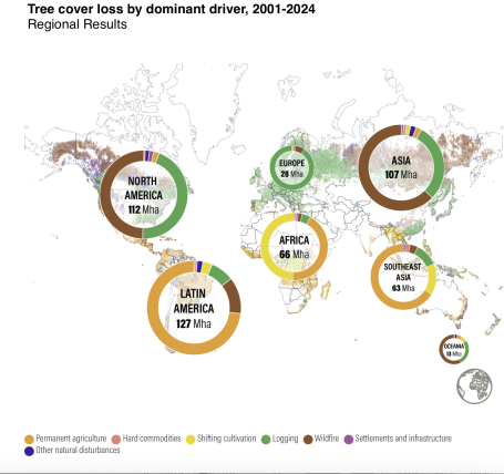 Tree Cover Loss by Dominance Driver, 2001-2024