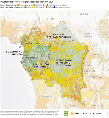 Drivers of tree cover loss in the Congo Basin from 2001-2024 
