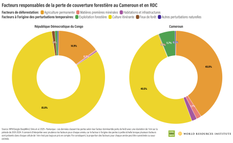 Facteurs responsables de la perte de couverture forestière au Cameroun et en RDC 