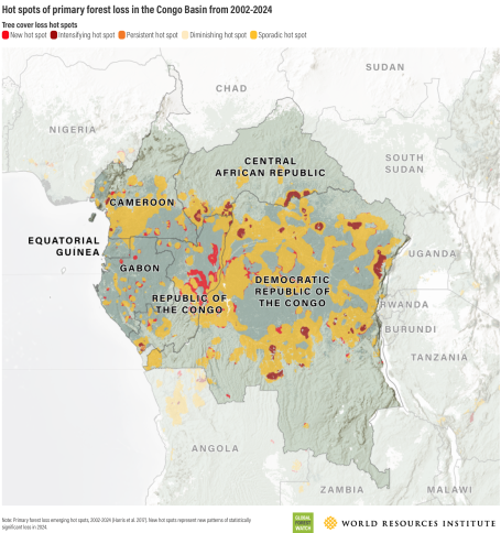 Hot spots of primary forest loss in the Congo Basin from 2002-2024 