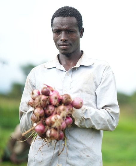 A farmer holding a bushel of freshly harvested onions. 