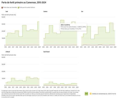 Perte de forêt primaire au Cameroun, 2015-2024