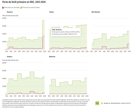 Perte de forêt primaire en RDC, 2015-2024 
