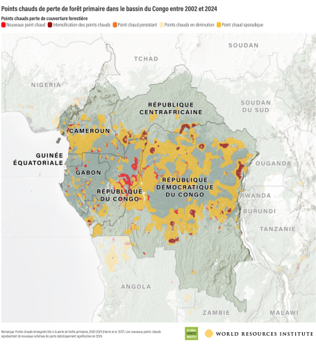 Points chauds de perte de forêt primaire dans le bassin du Congo entre 2002 et 2024 
