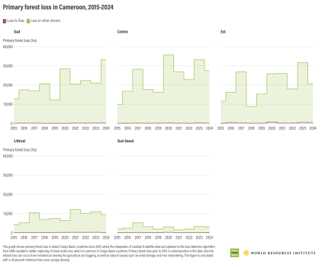 Primary forest loss in Cameroon, 2015-2024 