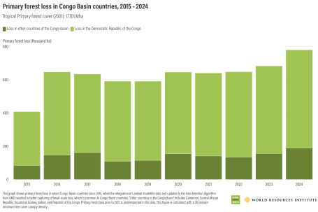 Primary forest loss in Congo Basin countries, 2015 - 2024