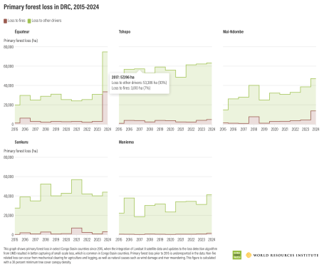Primary forest loss in DRC, 2015-2024 