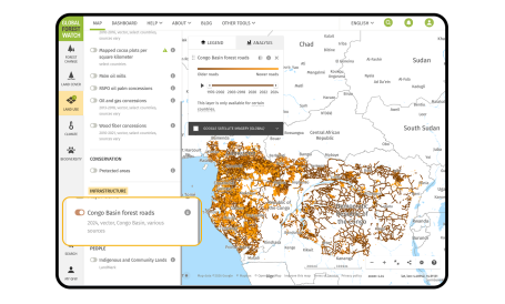 Forest roads in the Congo Basin (1976 to 2024)