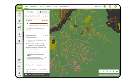 The forest roads data set provides context to forest change data such as near-real-time disturbance alerts, informing users what may be driving forest chang