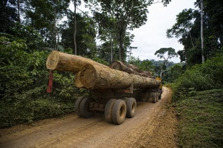 Wood truck near the village of Ngon. District of Ebolowa, Cameroon. 