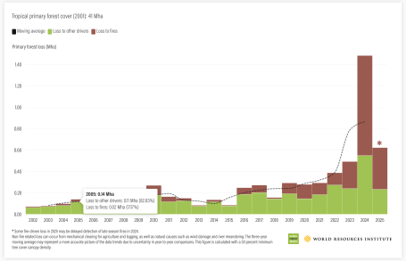 Bolivia Tropical primary forest cover (2001): 41 Mha