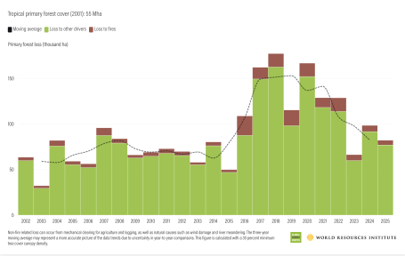 Columbia Tropical primary forest cover (2001): 55 Mha