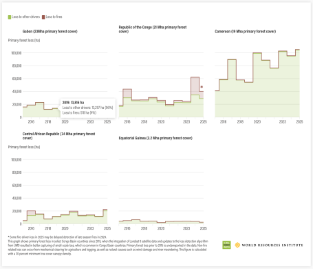 Congo Basin primary forest loss in 2025 varied across countries 