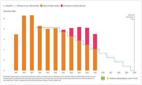Deforestation in 2025 was 70% higher than the level needed to halt and reverse forest loss by 2030 