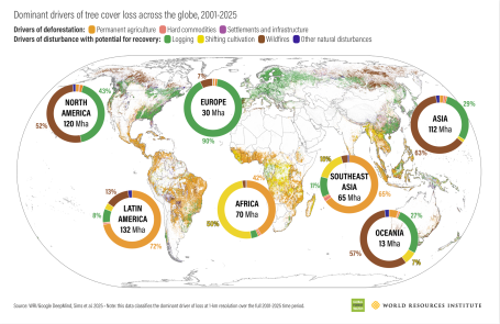 Dominant drivers of tree cover loss across the globe, 2001-2025