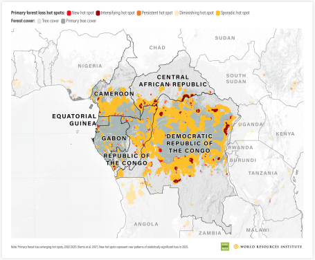 DRC Primary forest loss hot spots