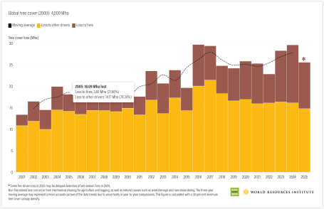 Global tree cover loss declined by 14% in 2025, but fires drove increasing proportions of loss in recent years 
