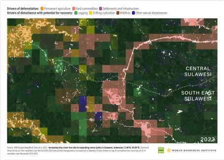 Increasing tree cover loss due to expanding mines in Sulawesi, Indonesia