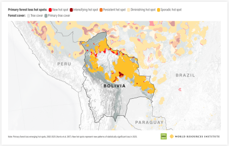 Primary forest loss hot spots in Bolivia