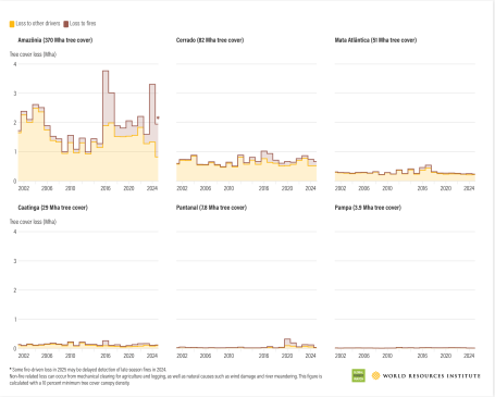 TCL 2025 Brazil biomes annotated